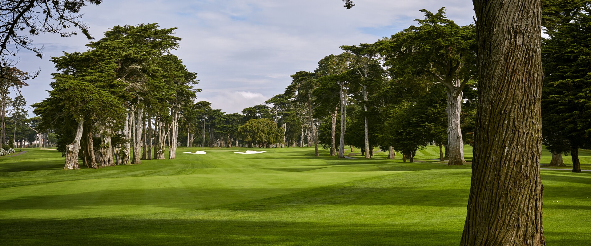 

102nd PGA Championship