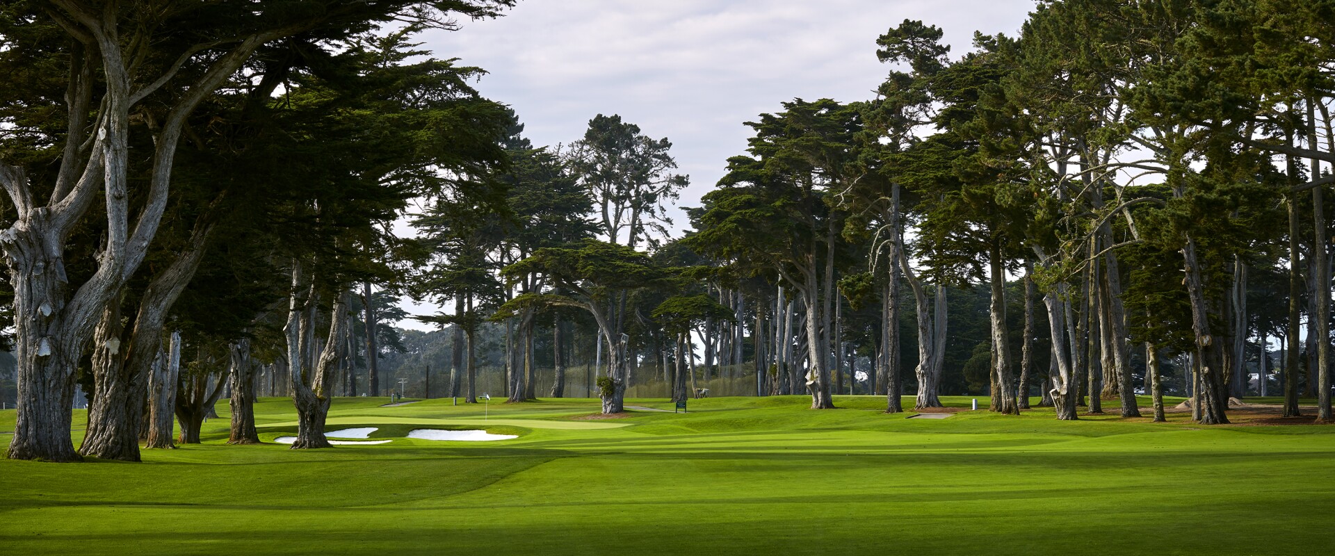 

102nd PGA Championship