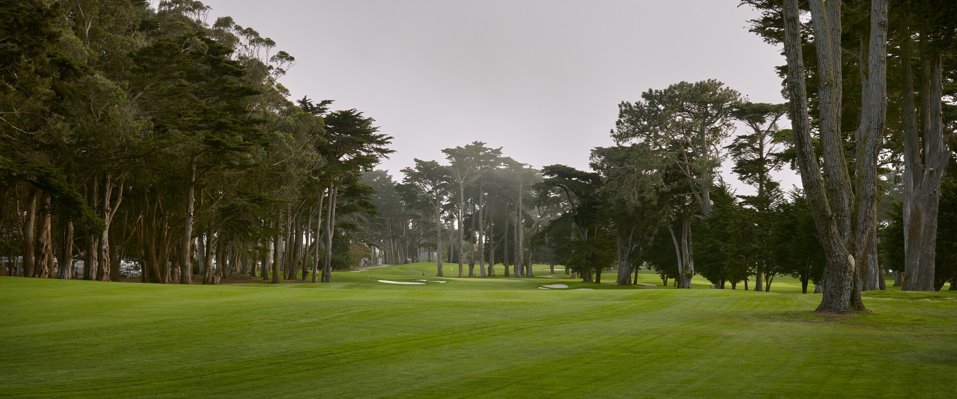 

102nd PGA Championship