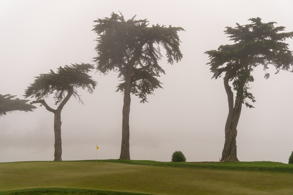 PGA Championship - Final Round